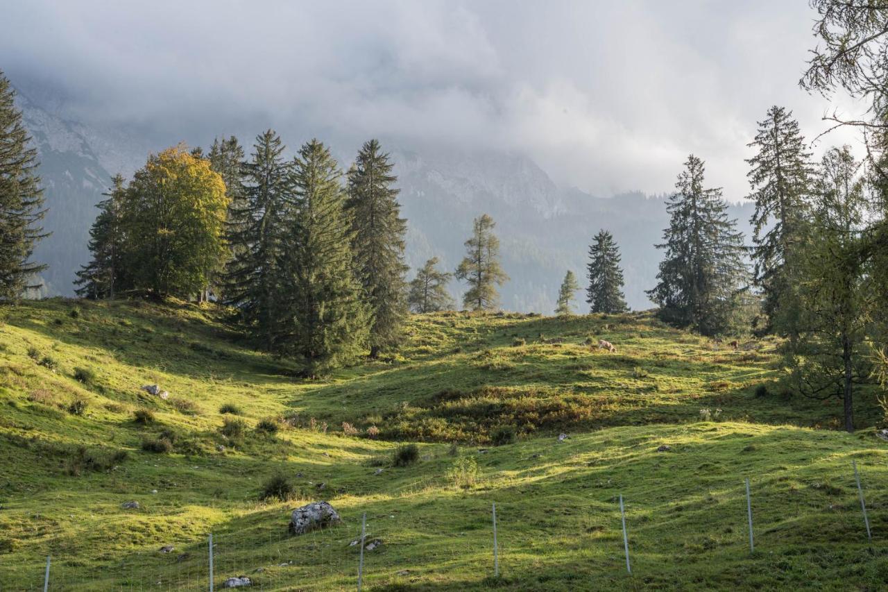 Lackner Teisendorf Bagian luar foto